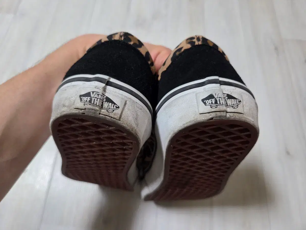 thumbnail-8